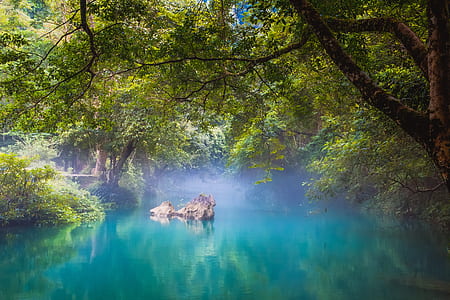 body of water near green trees during daytime thumbnail