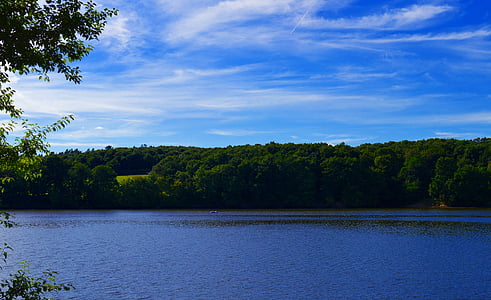 green trees near body of water thumbnail