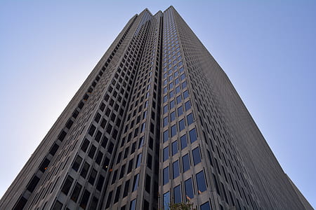 brown and clear concrete glass building low angle photography thumbnail