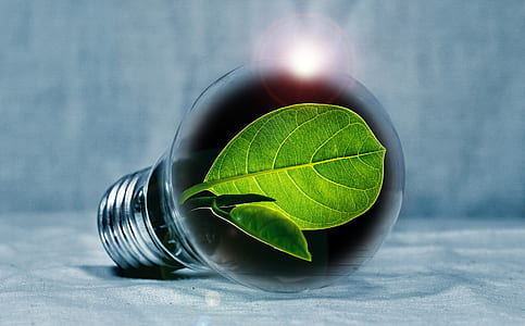 illustration of light bulb with green leaf thumbnail