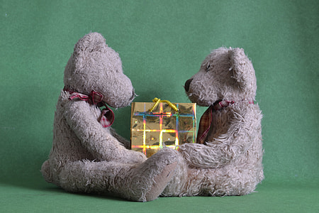 two gray bear plush toys facing each other thumbnail
