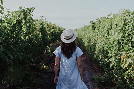 woman standing between green vineyards thumbnail