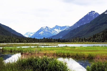 green grass on body of water thumbnail