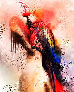 red, blue, and yellow macaw bird painting thumbnail