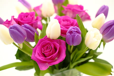 photo of purple and pink petaled flowers thumbnail