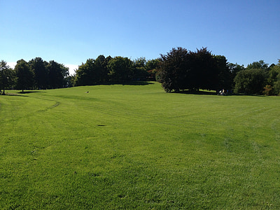 landscape photography of green grass field and trees thumbnail