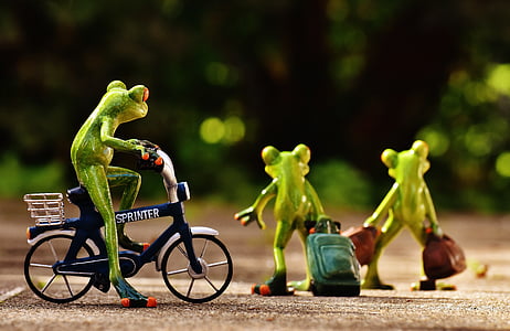 three tree frogs thumbnail