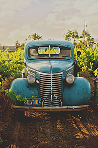 blue classic car between green leaf plant thumbnail