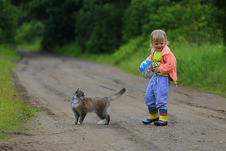 toddler wearing pink jacket standing near brown cat on road thumbnail