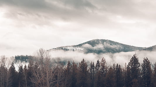 landscape photography of mountain with fogs thumbnail
