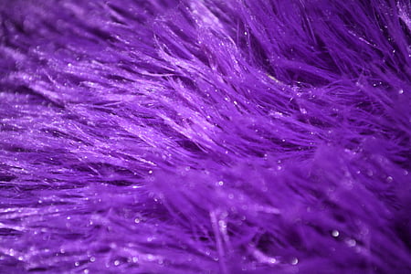 close-up photography of purple fur textile thumbnail