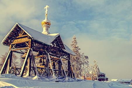 cold, snow, wood, landscape thumbnail