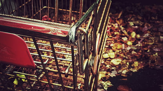 blur, foliage, outdoors, steel thumbnail