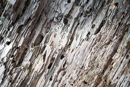 brown wood drift decor thumbnail