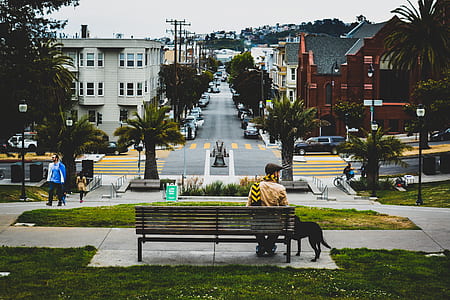 person sitting on bench beside dog on park during day thumbnail