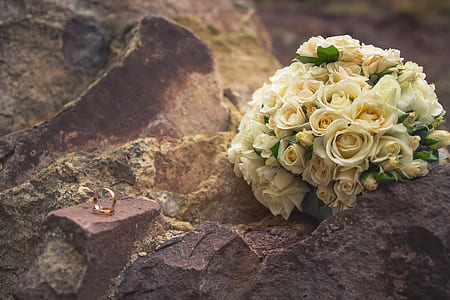 bouquet of white roses near gold-colored ring thumbnail