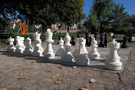 black and white chess pieces on board thumbnail