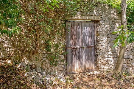 brown wooden door beside tree thumbnail