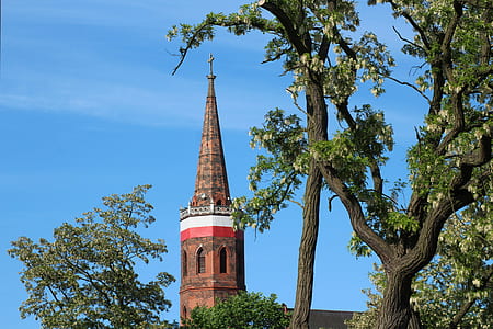brown cathedral during daytime thumbnail