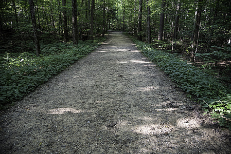 Path of the ledges Trail in Cayuhoga Valley National Park, Ohio thumbnail