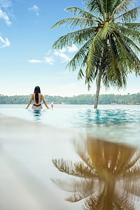 woman in bikini sitting on pool near green coconut tree during daytime thumbnail