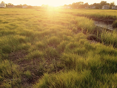 green field under orange sunset thumbnail