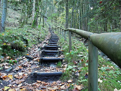 mountain steps surrounded by trees thumbnail