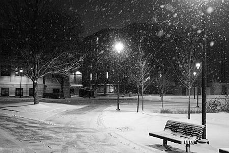 snowfalls on field with bench thumbnail
