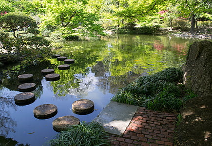 body of water surrounded by trees thumbnail
