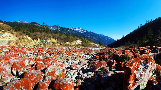 red and gray field of rocks thumbnail
