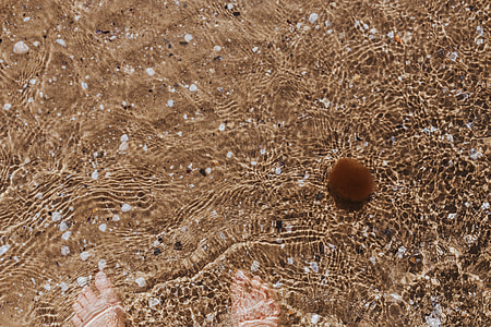 Female legs in the sand thumbnail