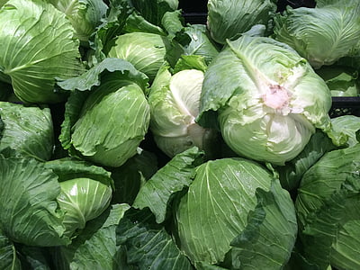 cabbage lot thumbnail