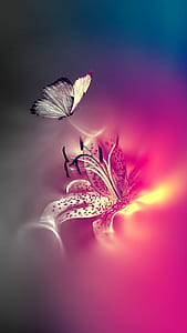 white and black butterfly digital wallpaper thumbnail