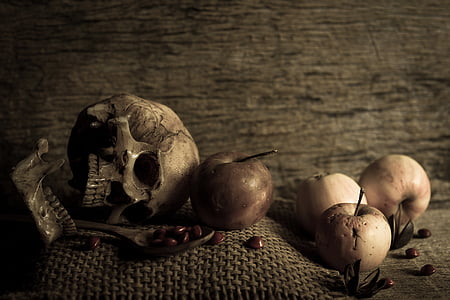 sepia photography of skull beside apples thumbnail