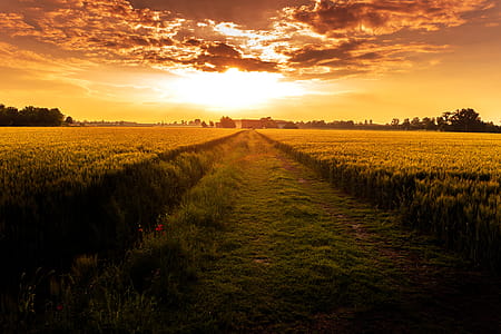 light, dawn, landscape, nature thumbnail