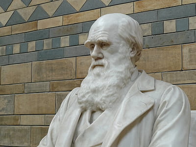 white man with beard statue thumbnail