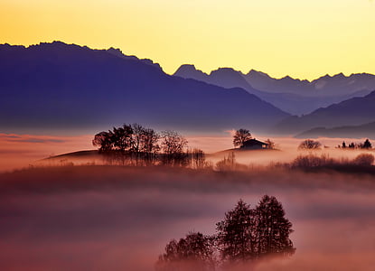 mountains surrounding forest covered with thick fog thumbnail