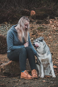 woman sitting on rock beside gray adult Siberian husky thumbnail