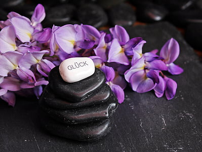 stack of black and white pebbles beside purple petaled flowers thumbnail