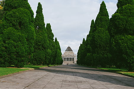 green leafed shrubs across grey concrete building thumbnail