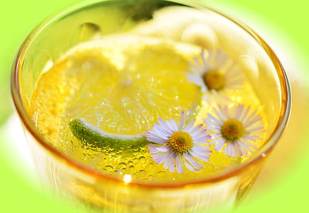 food, cold, healthy, flowers thumbnail