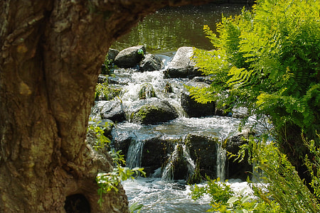 landscape photography of water falls and green leaf plants during daytime thumbnail