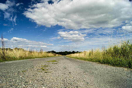 gray road surrounded by green grass thumbnail