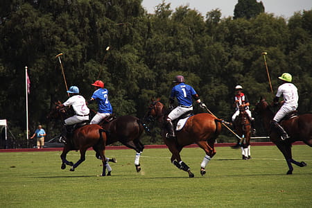 Polo Game thumbnail