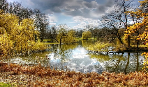 photography of lake surrounded by plants and trees under cloudy skies thumbnail