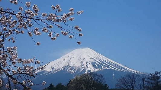 Mount Fuji, Japan thumbnail
