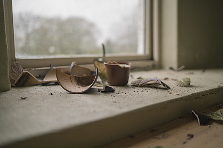broken plant pot near window thumbnail