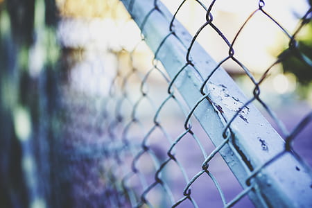 gray chain-link fence thumbnail
