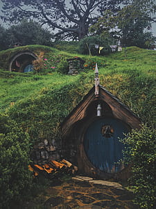 brown wooden house under ground thumbnail
