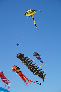 five assorted-color flying kites thumbnail